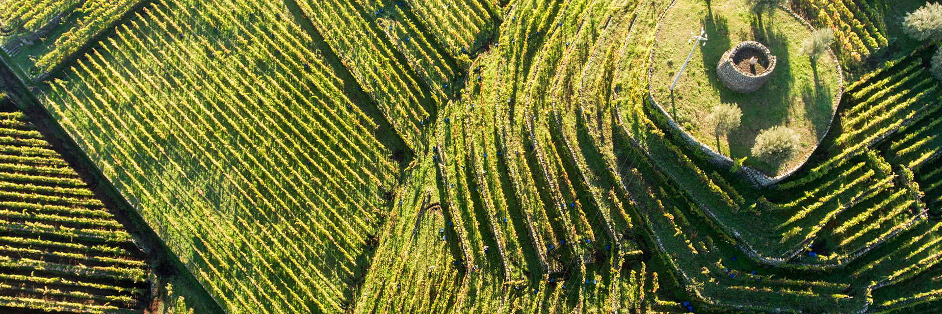 Tenuta Tascante – Tasca d'Almerita